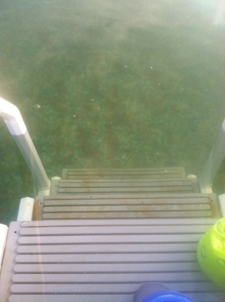 Chlorine made pool water turn brown Page 3 Trouble Free Pool